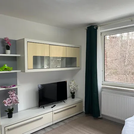 Gemuetliche Stadtwohnung - Gratis Parken